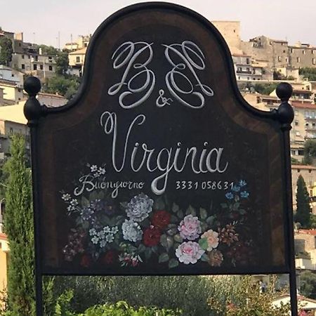 مونتيه سان بياجو B&B Virginia المظهر الخارجي الصورة